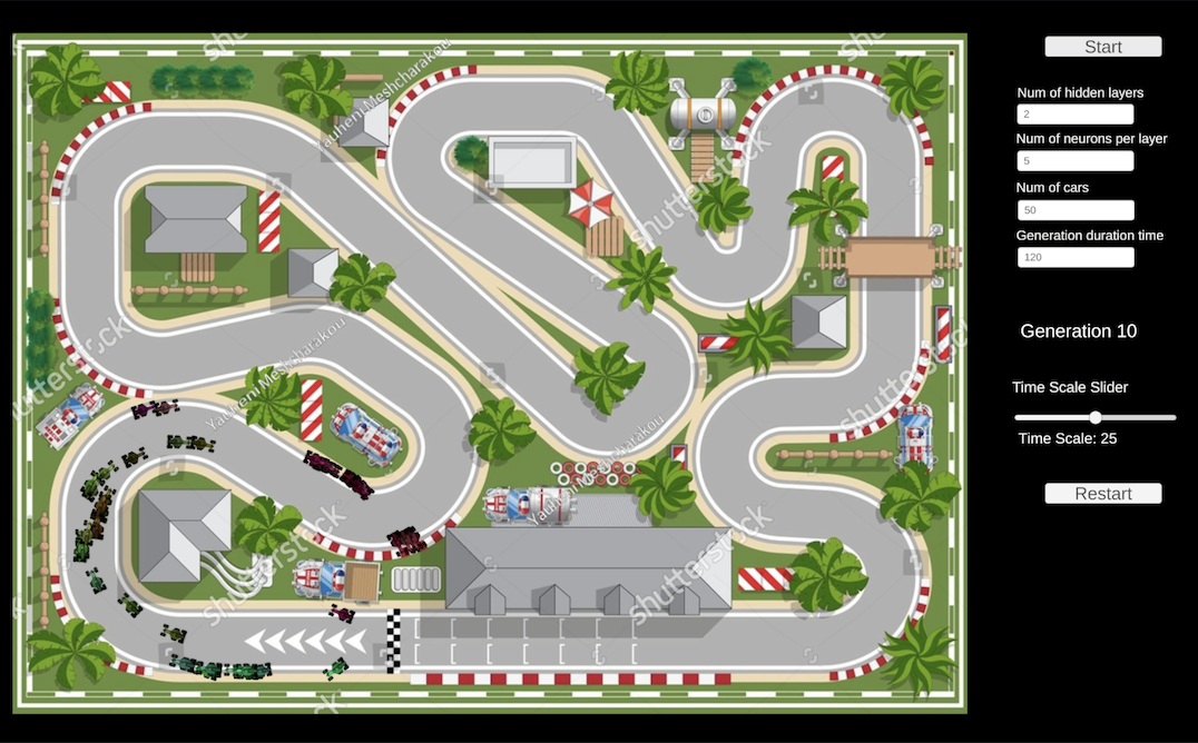 NN-Racer simulation